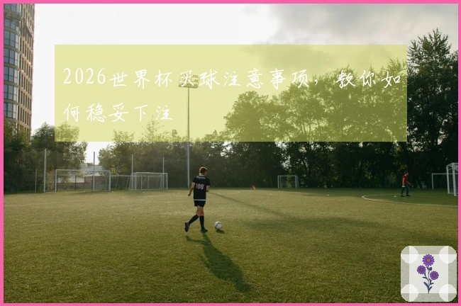 2026世界杯买球注意事项，教你如何稳妥下注
