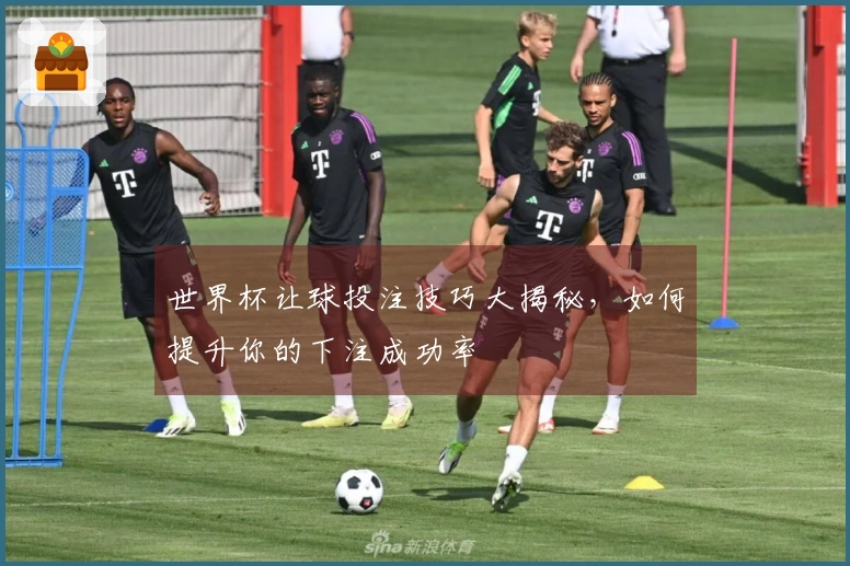 世界杯让球投注技巧大揭秘，如何提升你的下注成功率