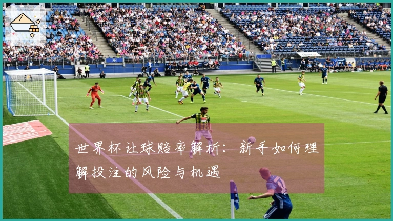 世界杯让球赔率解析：新手如何理解投注的风险与机遇