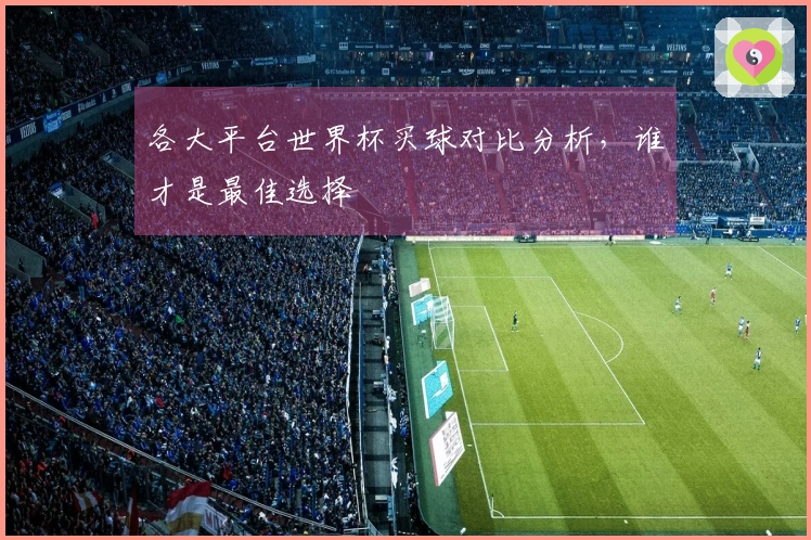 各大平台世界杯买球对比分析，谁才是最佳选择