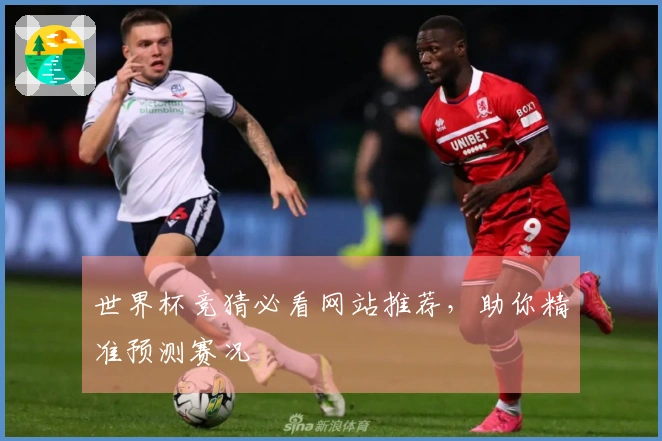 世界杯竞猜必看网站推荐，助你精准预测赛况