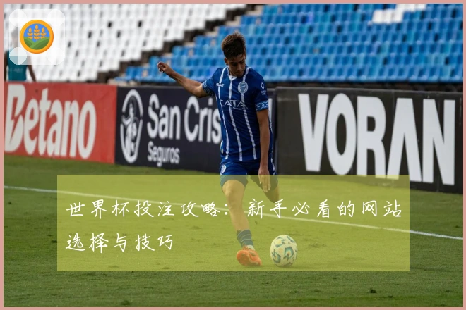 世界杯投注攻略：新手必看的网站选择与技巧