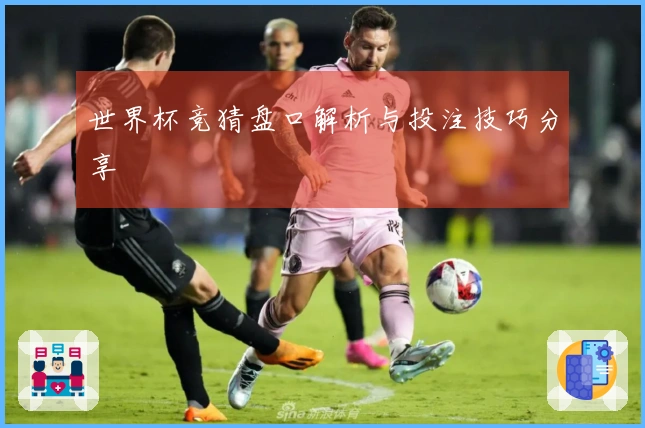 世界杯竞猜盘口解析与投注技巧分享