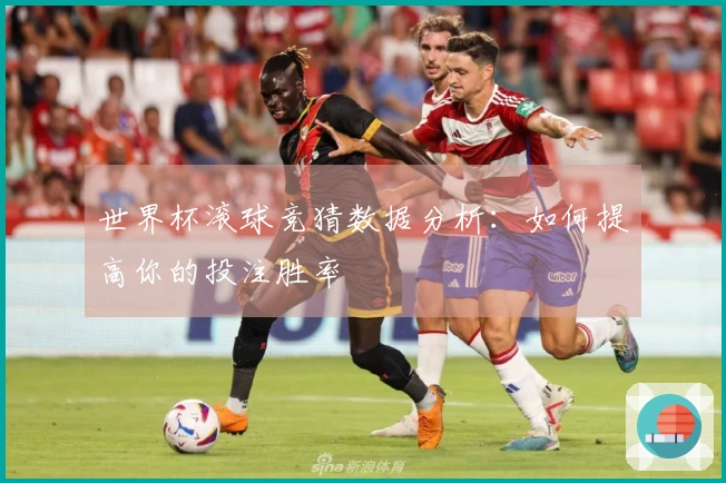 世界杯滚球竞猜数据分析：如何提高你的投注胜率