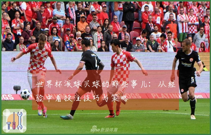 世界杯滚球买球的那些事儿：从经验中看投注技巧与策略