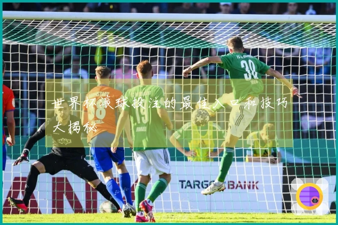 世界杯滚球投注的最佳入口和技巧大揭秘
