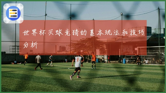 世界杯买球竞猜的基本玩法和技巧分析
